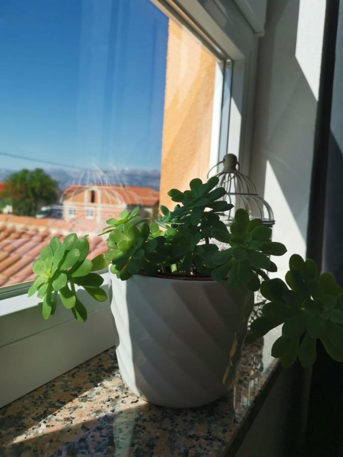 Nozret Apartment Paljuv Bagian luar foto