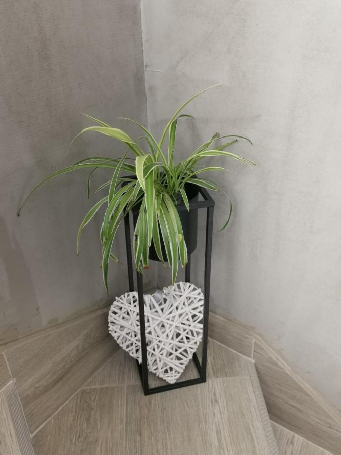 Nozret Apartment Paljuv Bagian luar foto